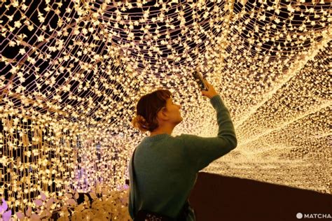 A Cherry Blossom Tunnel of Light! Tokyo Mega Illumination.
